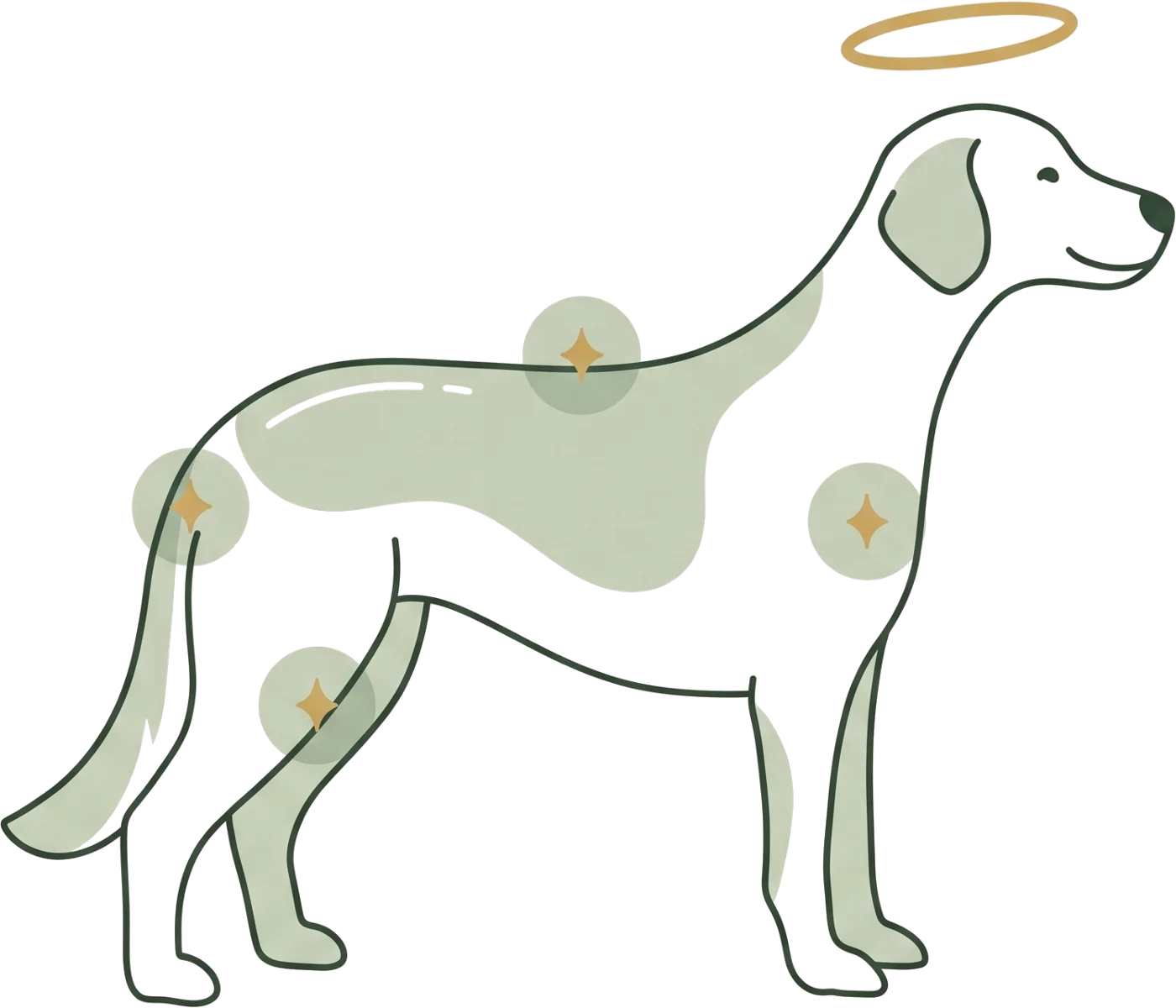 Illustration: a dog beneath a golden halo with four marked support areas